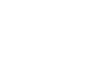 Bay Paws Pet Resort